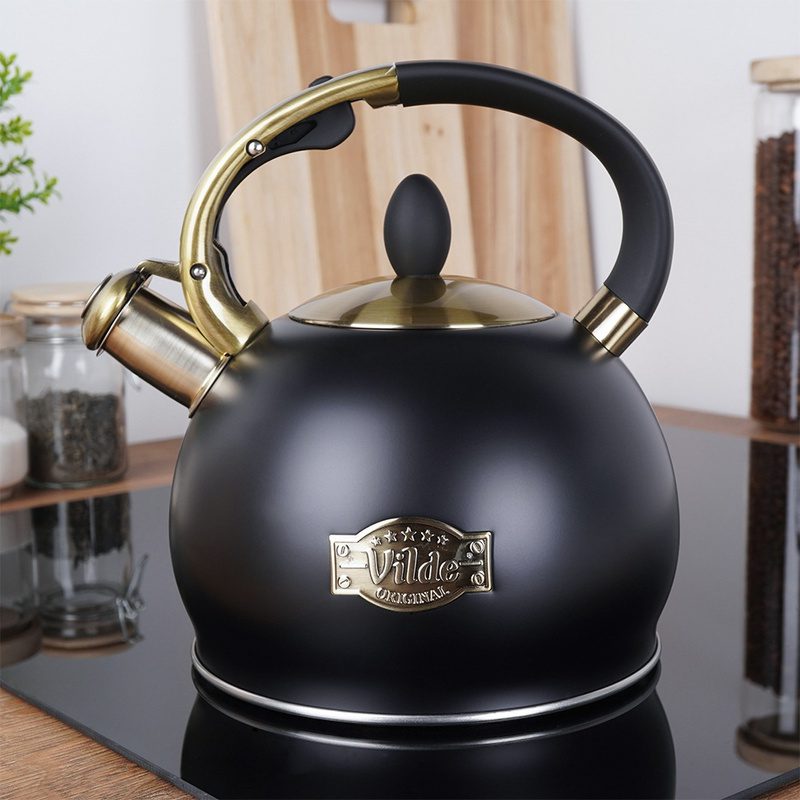 Fierbător cu fluier din oțel inoxidabil, negru, 3 L